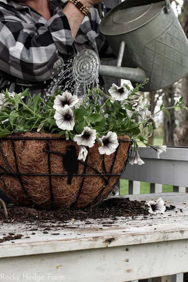 Adjust Watering for Containers