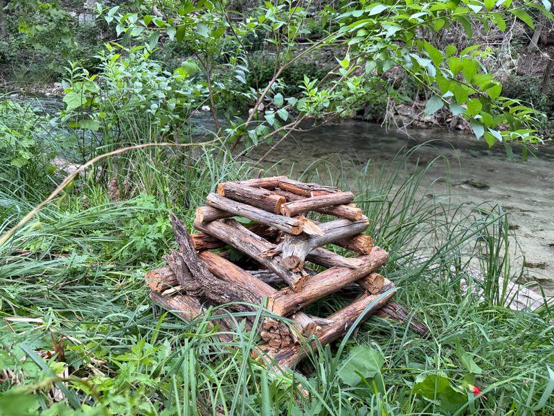 Leaf Litter and Log Piles