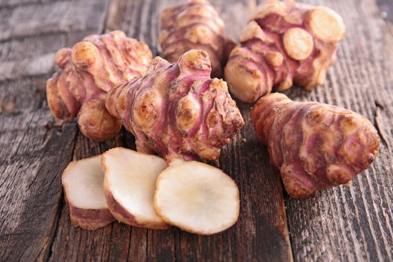 Jerusalem Artichoke