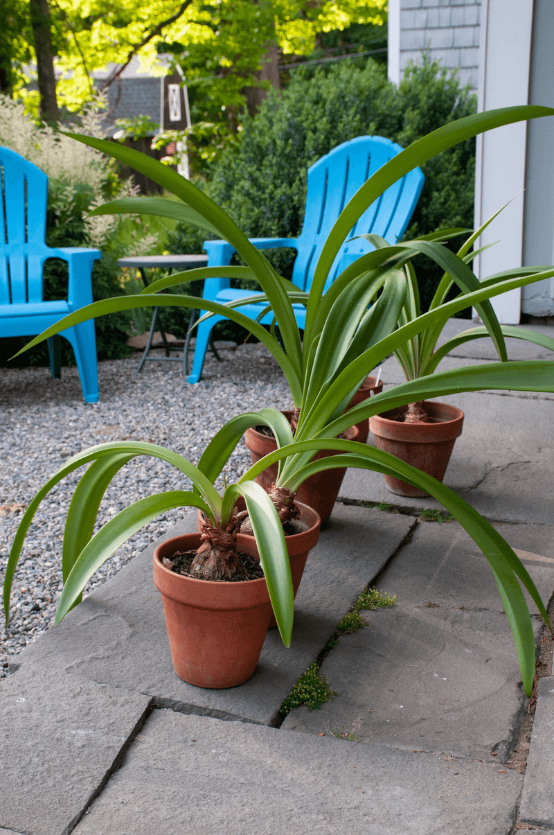 Summer outdoors is an option, not a requirement