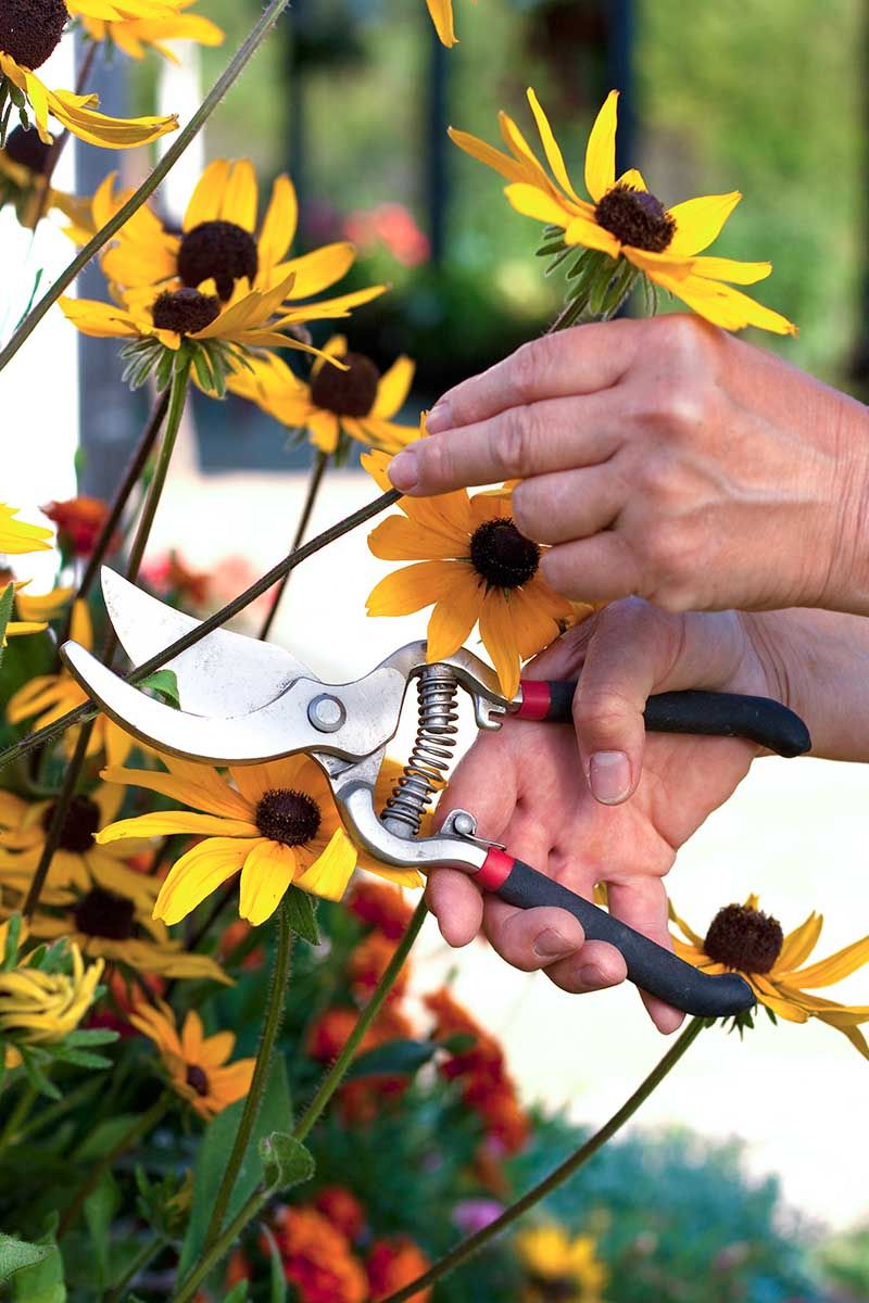 Repeat the inspection about once a week