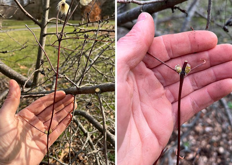 Make a cautious plan now and reassess in spring