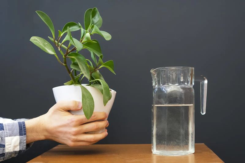 Let Tap Water Sit Overnight