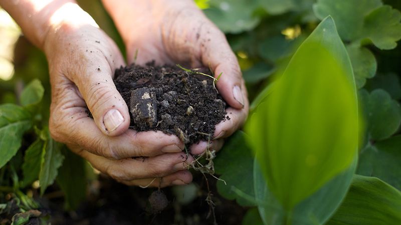 Your Soil Structure Is Improving