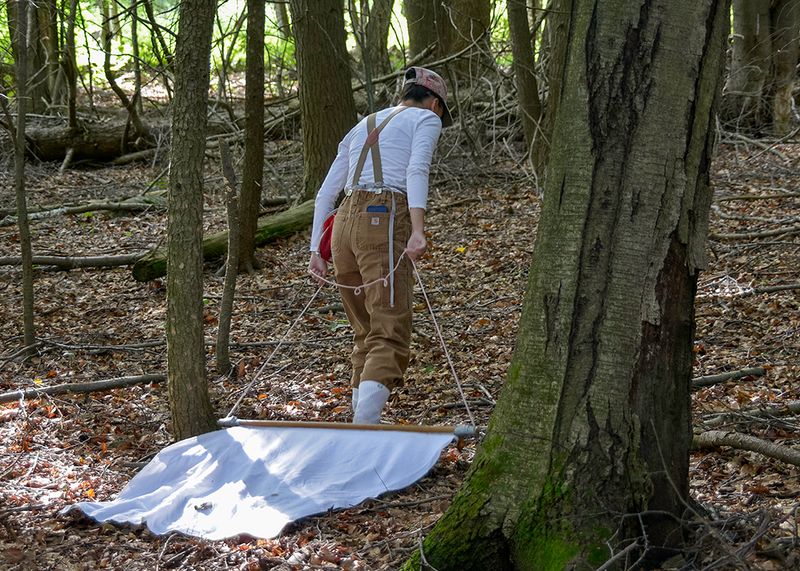 Use established layers of protection during yard work