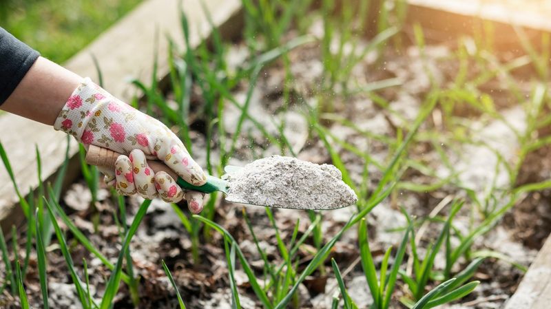 Sprinkle Wood Ash Around the Base