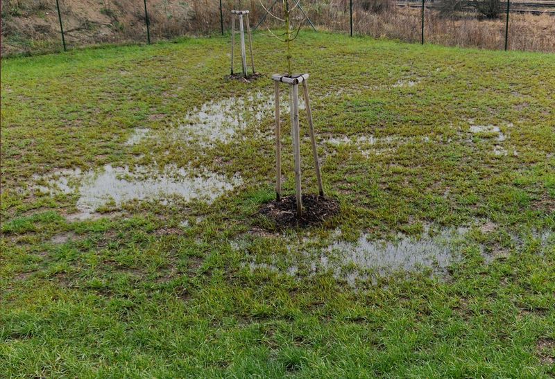 Check the Soil Before You Trust Its Toughness