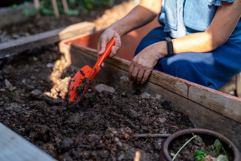Spread Compost Over Bare Beds