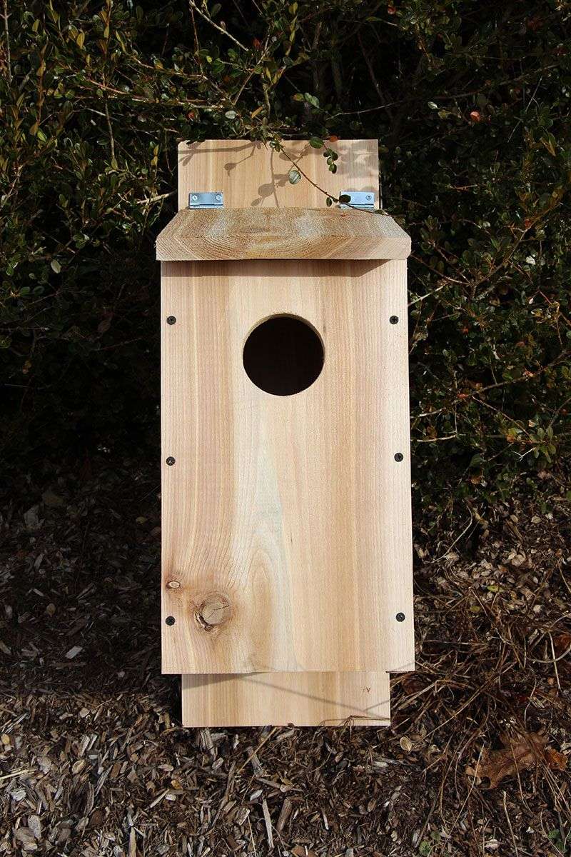 Build or buy a box for one target species