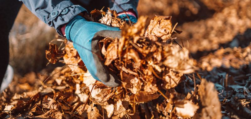 Compost the Cleanup and Leave the Rest for Wildlife