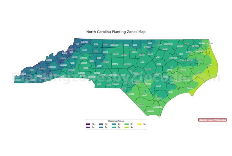 Start with your North Carolina region, not a statewide deadline