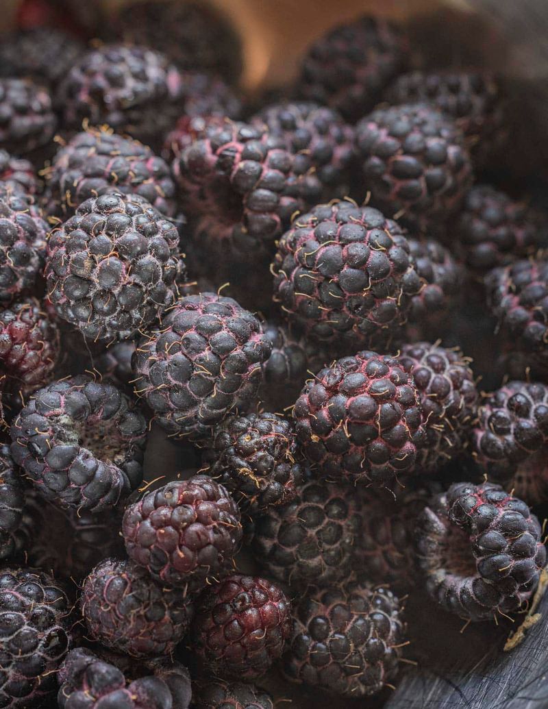 Black Raspberries
