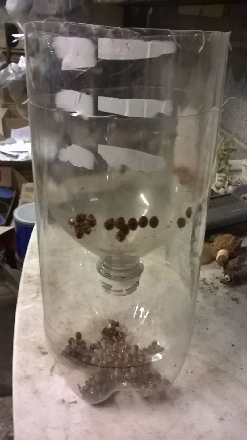 A light trap may collect some, not clear a room