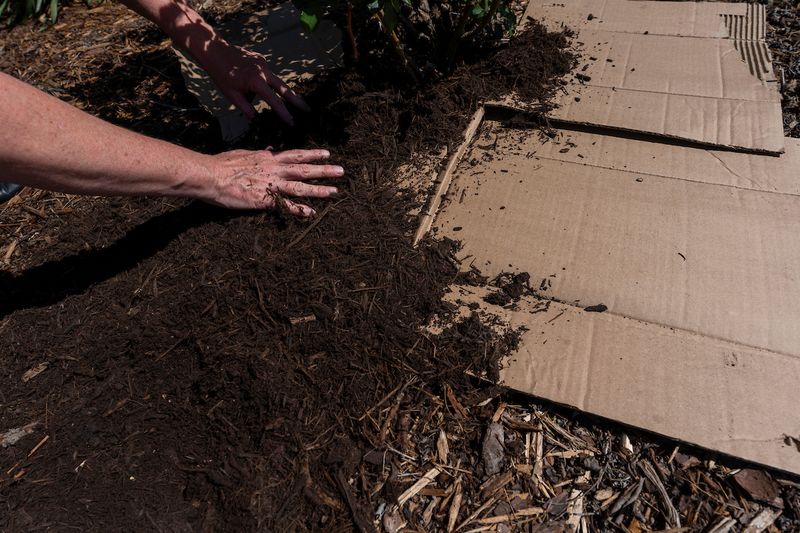 Protect plants and keep barriers from foundations