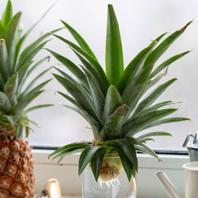 Start with the plant, not the harvest