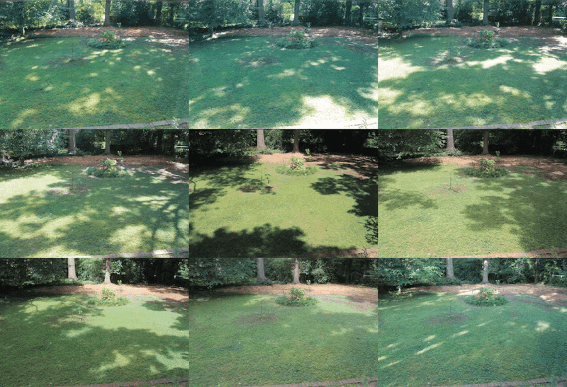 Measure the planting spot instead of guessing