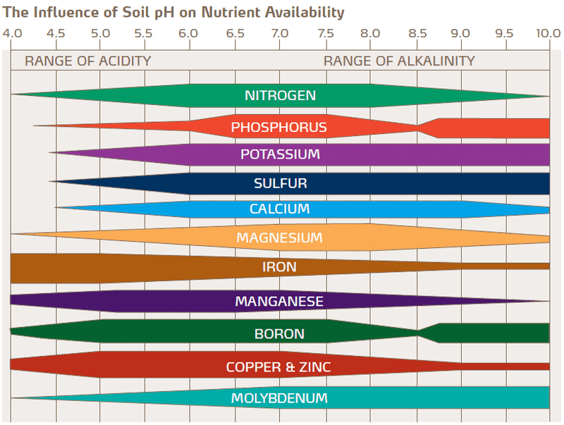 A Slight Boost For Alkaline Soils