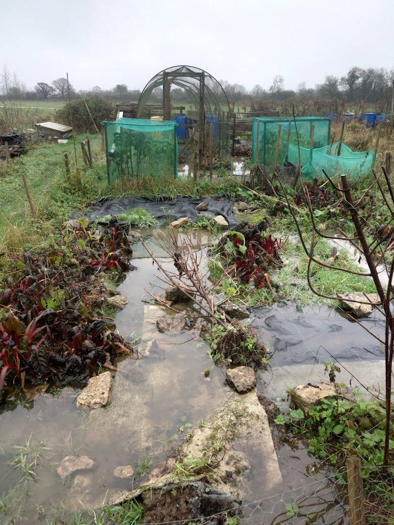 How compacted and waterlogged clay harms roots