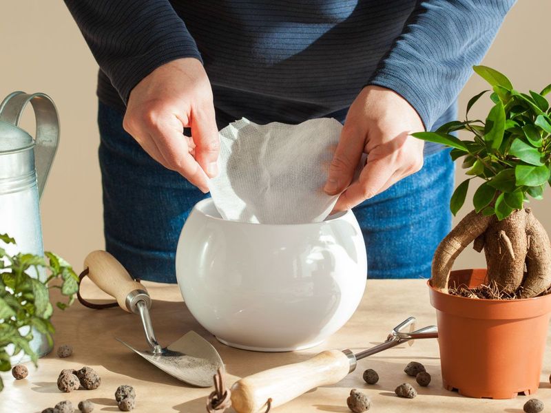 Coffee Filter in the Pot