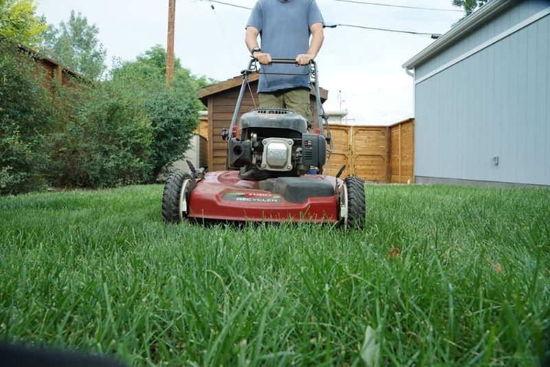 Mow at the Right Height