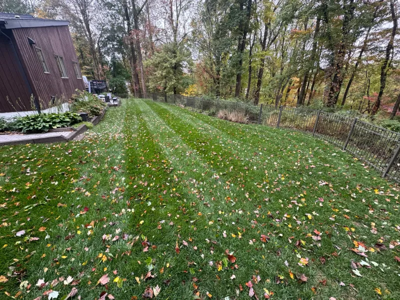 Work when your grass is actively growing
