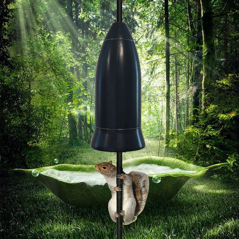 Bird Feeders and Spilled Seed
