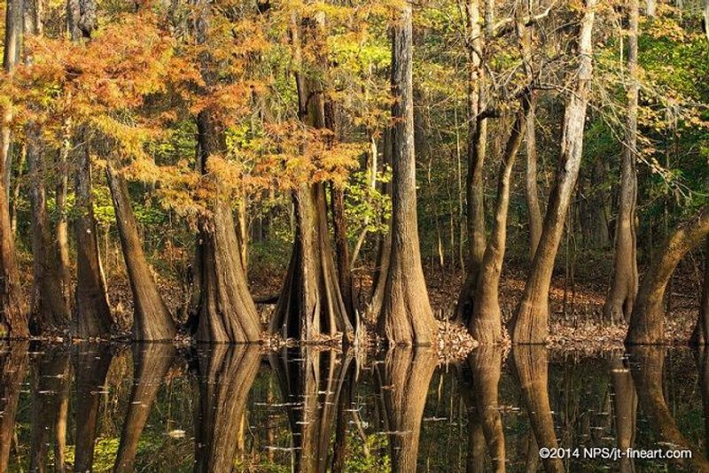 A Floodplain Ecosystem That Pulses With Every Season