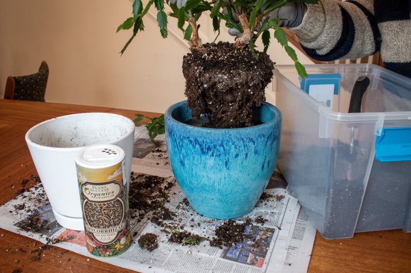 A Pot That Is Too Large