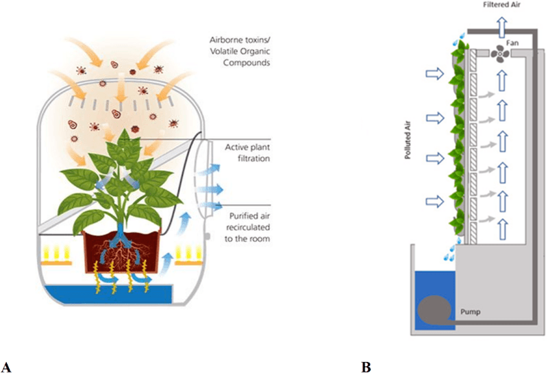 Roots and microbes share the formaldehyde work
