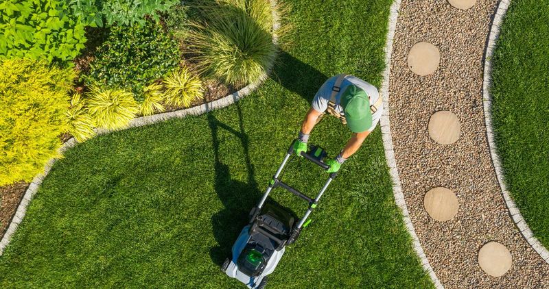 Mow according to growth, and pause for drought-stressed cool-season turf