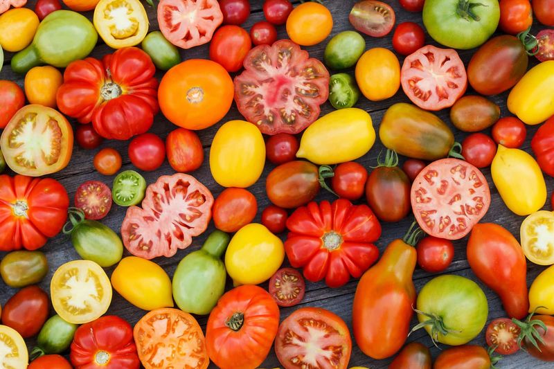 Will the seedlings resemble this year’s tomato?