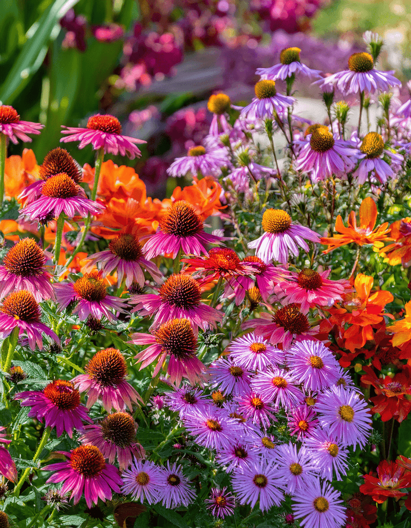Pair Them With Different Bloom Times