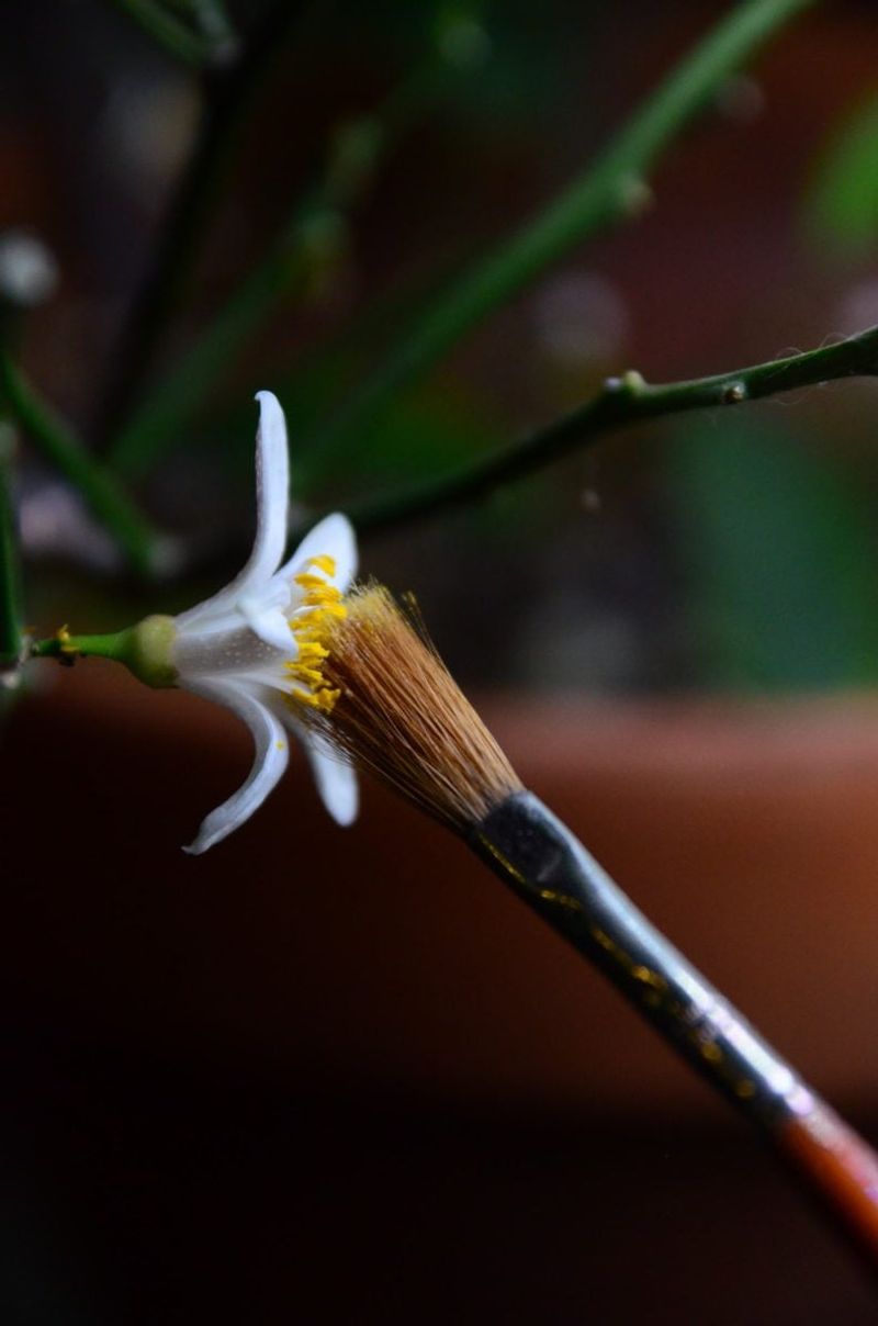 Keeping the tree alive is not the same as getting lemons