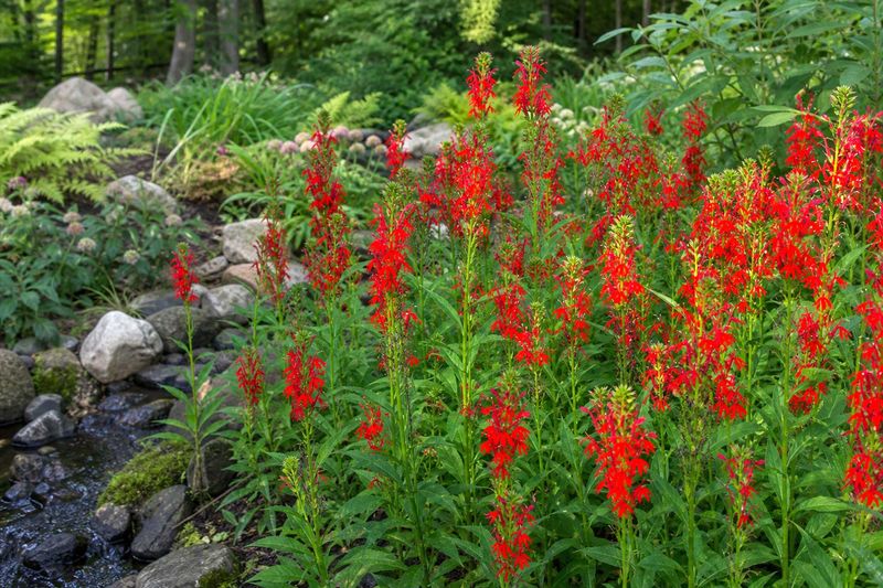 Keep the Soil Consistently Moist