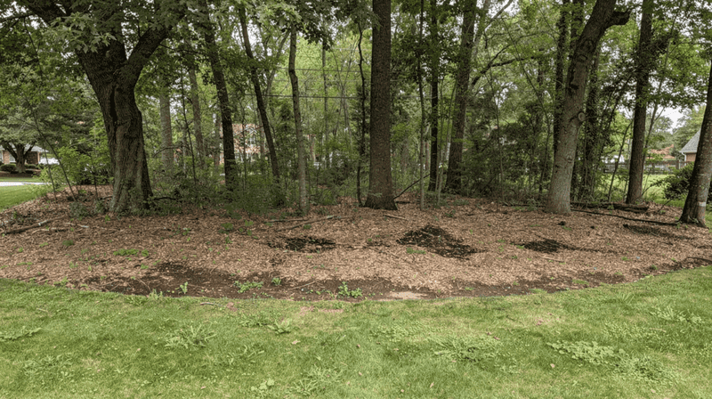 Ignoring Low Branches and Deep Shade