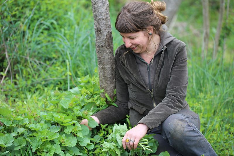 Treat backyard foraging as conditional