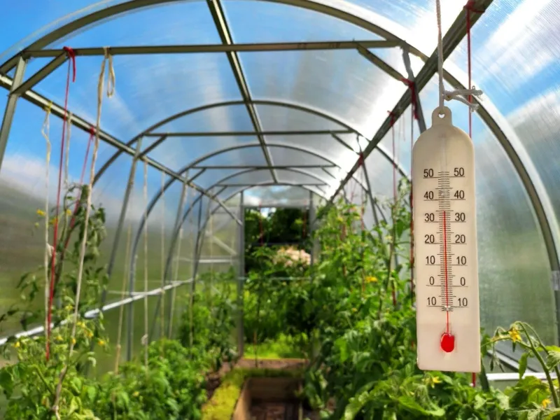 Protect from Intense Midday Heat