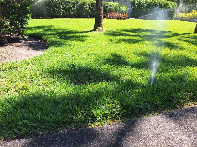 Use the practical rule: water when the lawn needs it, then investigate browning