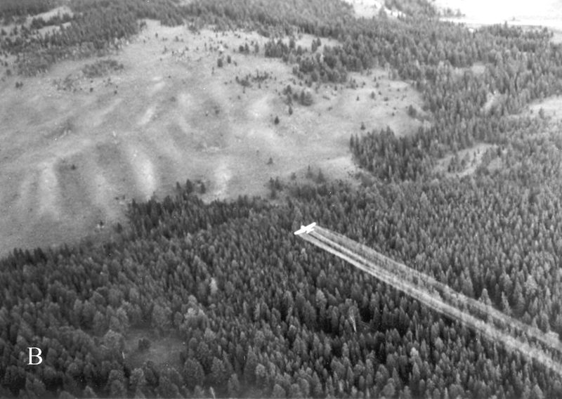 Why the United States prohibited general-use DDT