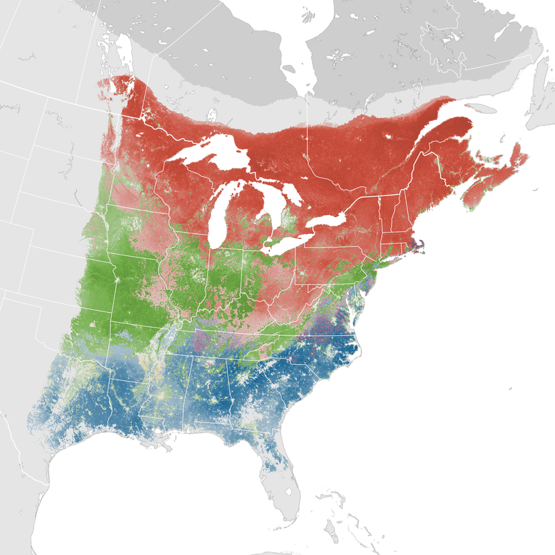 Winter does not mean the same thing across North Carolina