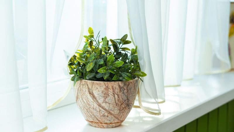 New growth shows whether the change is helping