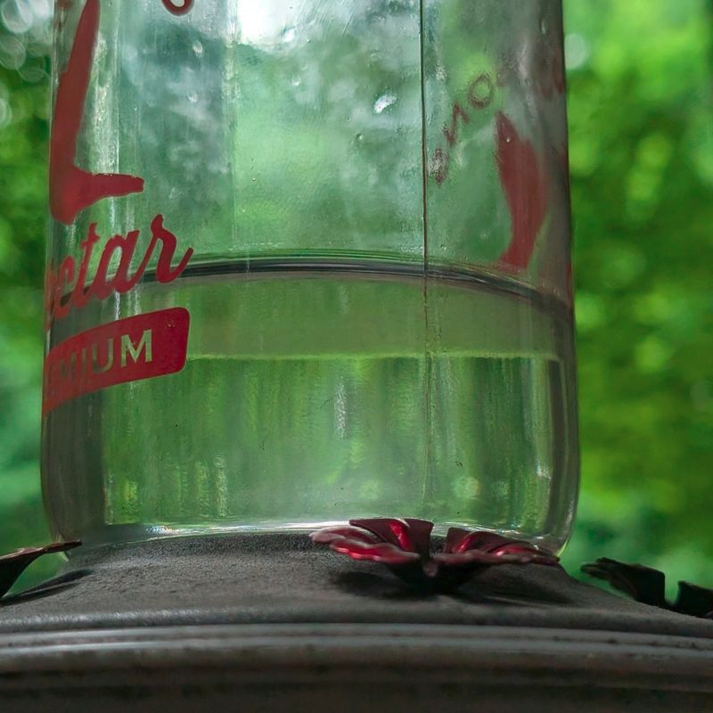 Never Set Out Spoiled or Fermented Nectar