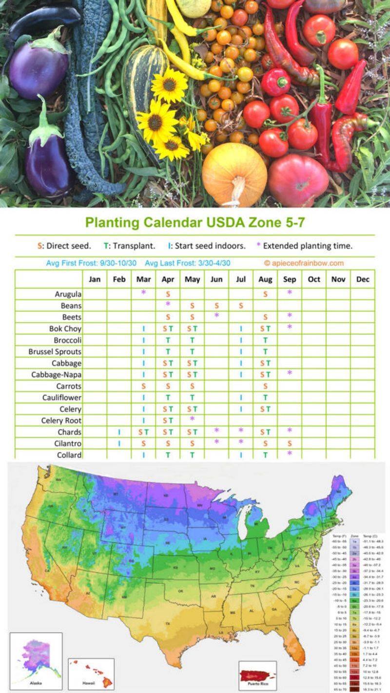 Match September sowing to your North Carolina region