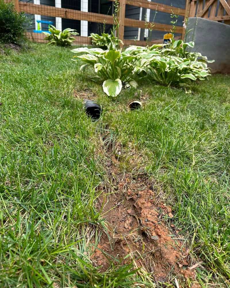 Determine whether the downspout area can support a rain garden