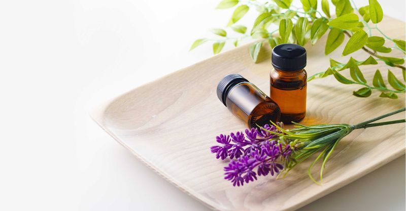 Lavender Research Does Not Prove a Bay-Leaf Effect