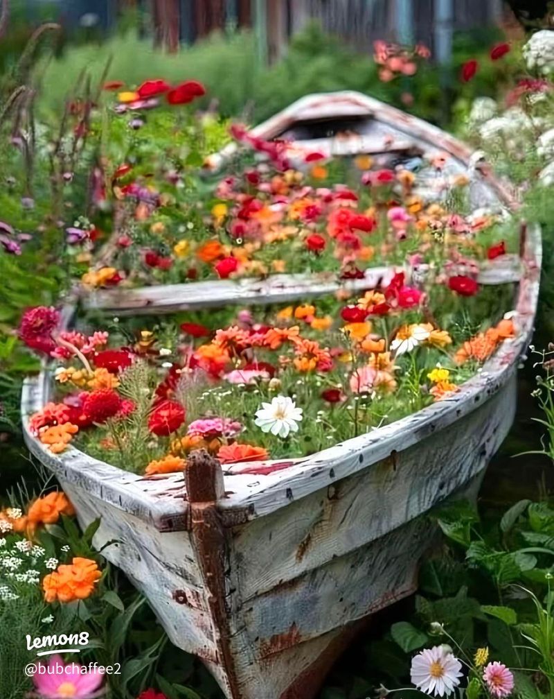 A sound hull and healthy annuals make the best shoreline illusion