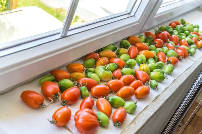 Check the fruit every few days