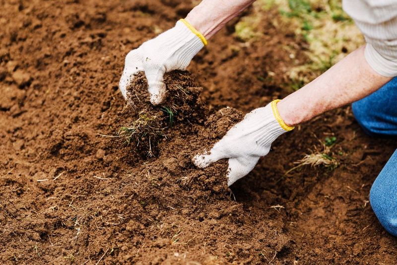 Freshly Disturbed Construction Ground