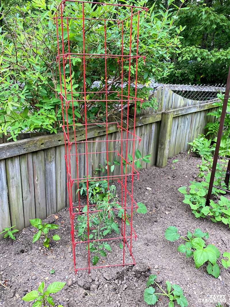 Clean cages and stakes before storing them