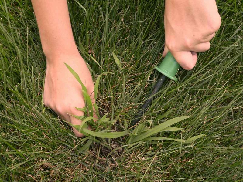 Remove seed sources now and plan prevention early